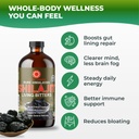 essence-herbs-shilajit-bitters-liquids-m-3.jpg