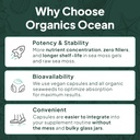 organics-ocean-shilajit-for-men-and-wome-6.jpg
