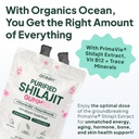 organics-ocean-shilajit-for-men-and-wome-3.jpg