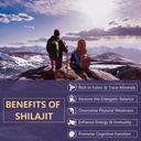 2000-mg-shilajit-supplement-shilajit-res-3.jpg