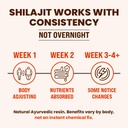 natruveda-himalayan-shilajit-honey-stick-4.jpg