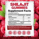 shilajit-10-000mg-gummies-for-men-women--3.jpg