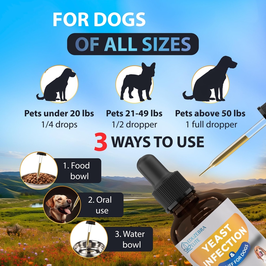 yeast-infection-treatment-for-dogs-reduc-5.jpg