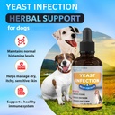 yeast-infection-treatment-for-dogs-reduc-2.jpg