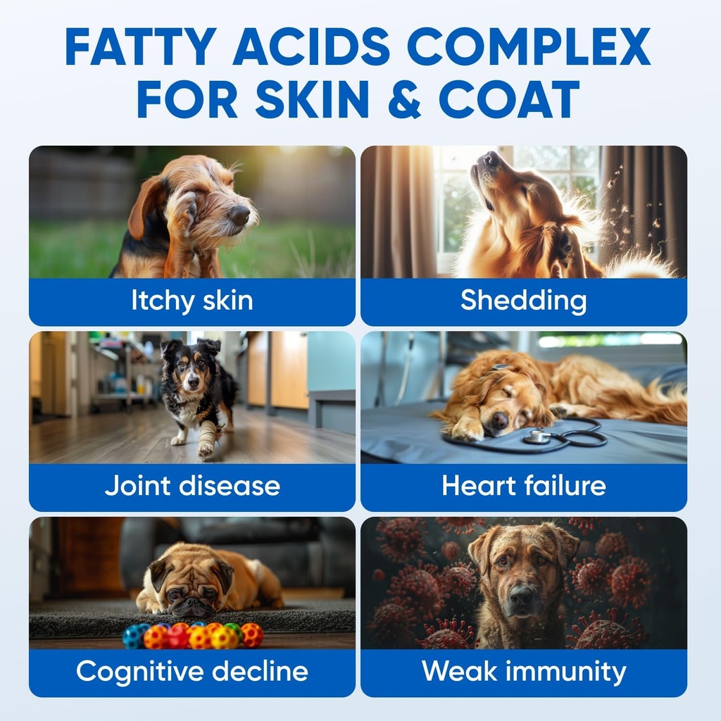 skin-coat-supplement-for-dogs---canine-o-2.jpg
