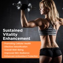 liposomal-glutathione-supplement-2000mg--4.jpg