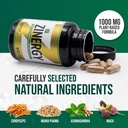 dr-zisman-zinergy-natural-energy-vitalit-5.jpg