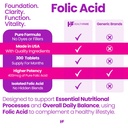 healthfare-folic-acid-400mcg-300-veg-tab-5.jpg