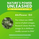 bold-botanica-plant-vegan-omega-3-6-9-wi-5.jpg