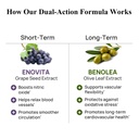 durable-blood-pressure-benolea-olive-lea-4.jpg