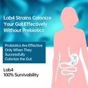 purmeo-probiotic-for-stomach-gut-and-imm-4.jpg