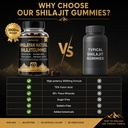 himalayan-shilajit-gummies-3000mg-high-p-4.jpg