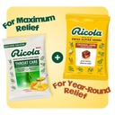 ricola-original-herb-cough-drops-with-me-6.jpg
