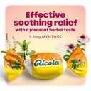 ricola-throat-drops-echinacea-honey-lemo-4.jpg