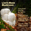 lions-mane-powder-8-oz-pure-lion-s-mane--4.jpg