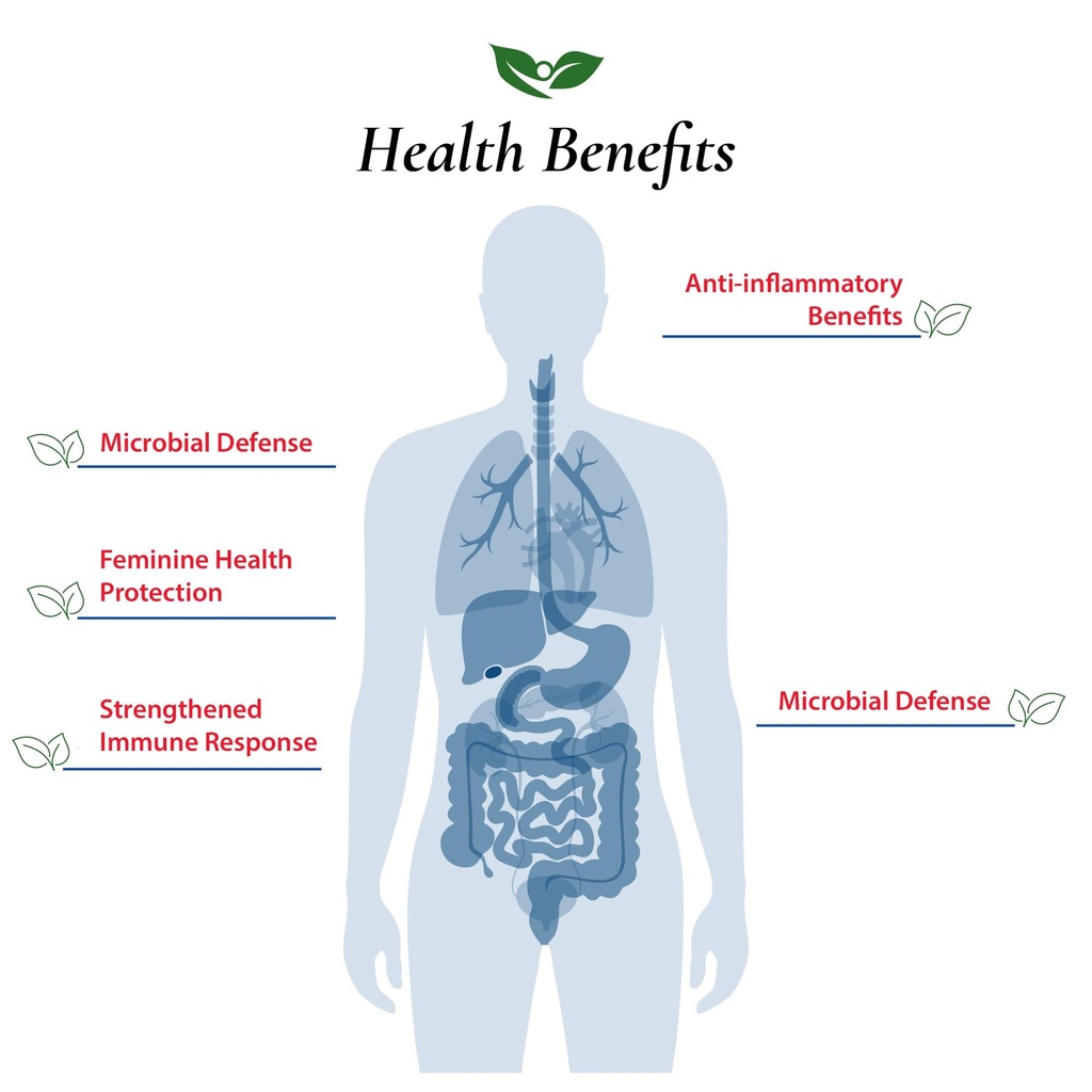 foods-for-gut-bifidobacterium-adolescent-4.jpg