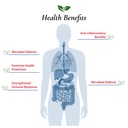 foods-for-gut-bifidobacterium-adolescent-4.jpg