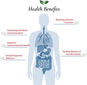 foods-for-gut-bifidobacterium-bifidum-pr-4.jpg