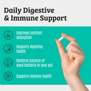 complete-gut-support-bundle-probiotic-di-4.jpg