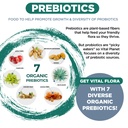 vital-planet-vital-flora-immune-support--5.jpg