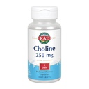 kal-choline-tablets-250-mg-100-count-2.jpg