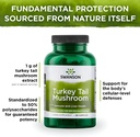 swanson-turkey-tail-mushroom---herbal-su-4.jpg