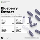 humming-herbs-blueberry-bilberry-extract-3.jpg