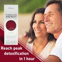 wellgenix-puriclean-instant-complete-bod-4.jpg