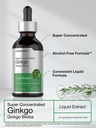 horb-ach-ginkgo-biloba-extract-liquid-2--4.jpg