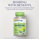 solaray-dandelion-root-supplement---heal-3.jpg