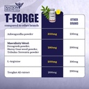 t-forge-energy-and-mood-support-suppleme-3.jpg