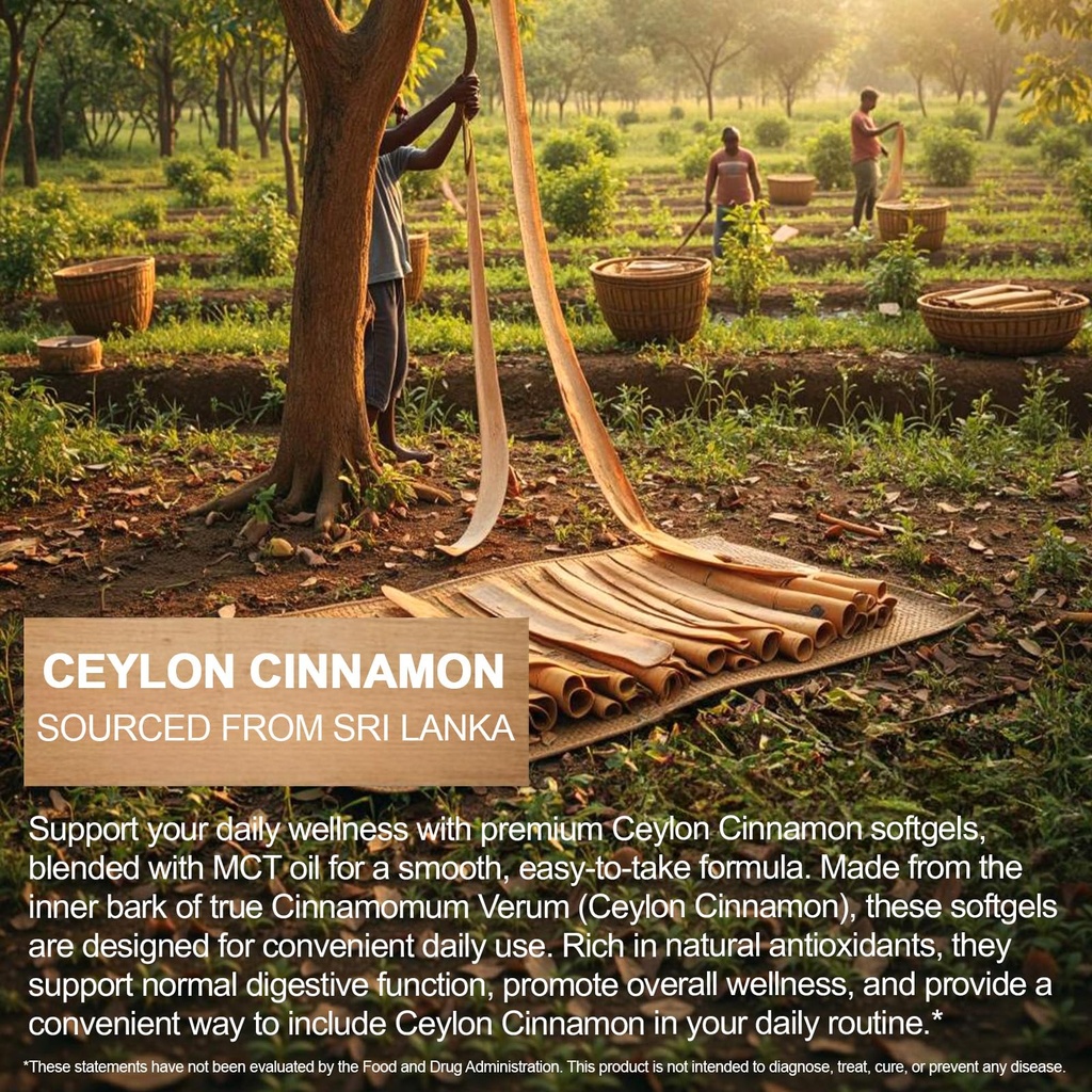 ceylon-cinnamon-300-softgels-with-mct-oi-5.jpg