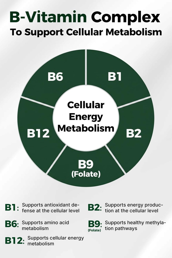 nad-supplement-with-nicotinamide-ribosid-6.jpg