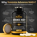 nmn-250mg-nad-supplement-cellular-energy-2.jpg