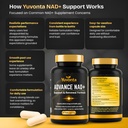 nmn-250mg-nad-supplement-cellular-energy-5.jpg