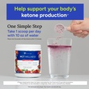 gundry-md-mct-wellness-powder-to-support-2.jpg