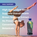 youngevity-zradical-fucoidan-organic-mar-4.jpg