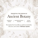 anima-mundi-apothecary-qi-energy-protein-5.jpg