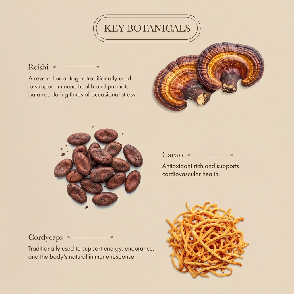 anima-mundi-apothecary-organic-mushroom--4.jpg
