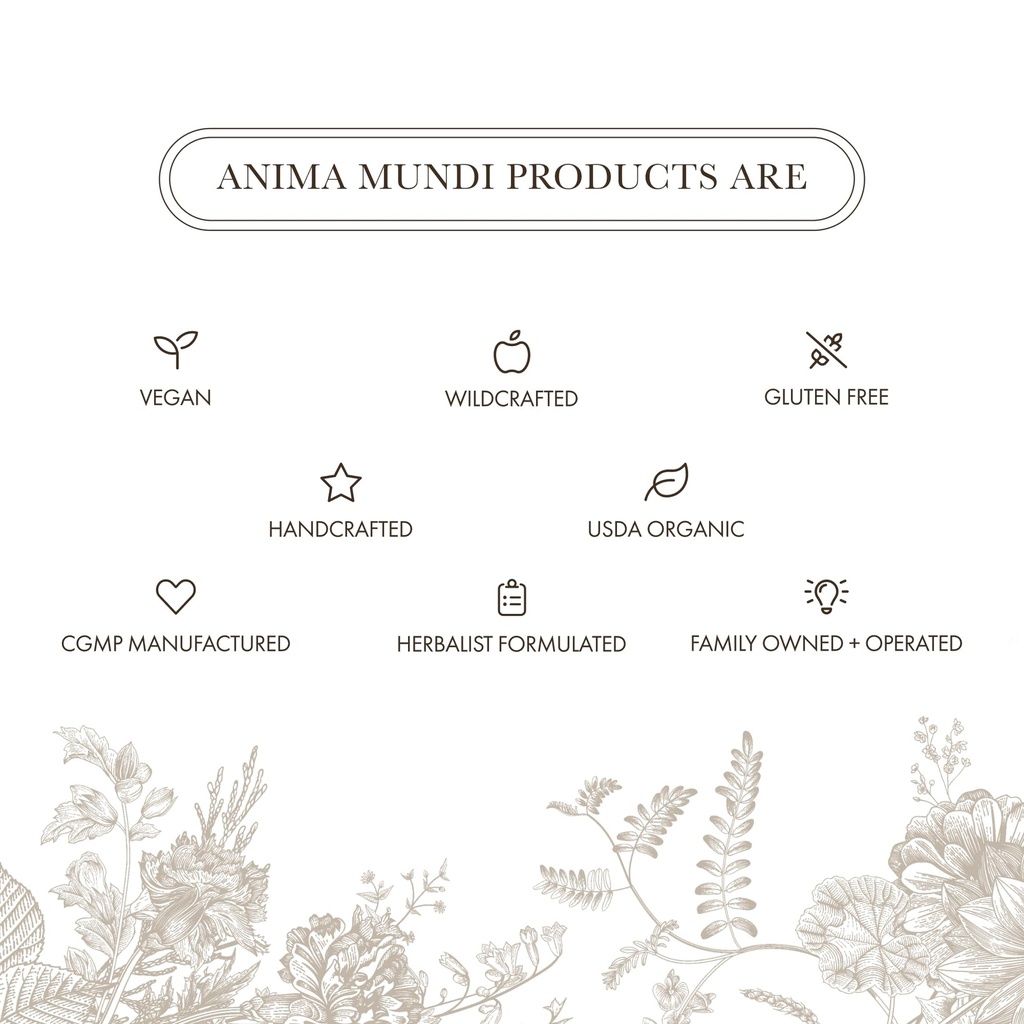anima-mundi-apothecary-organic-mushroom--6.jpg