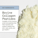 amy-myers-md-collagen-protein-powder-typ-3.jpg