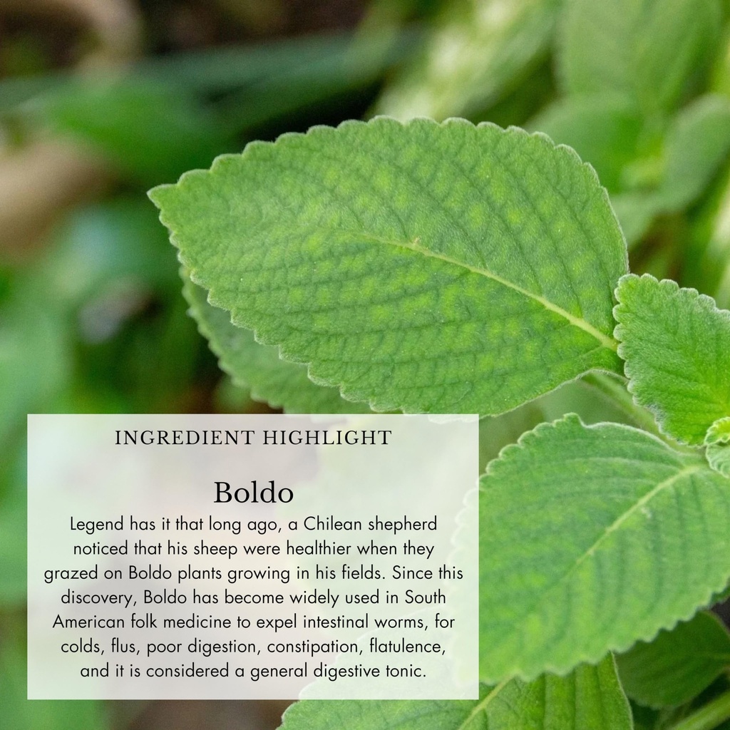anima-mundi-apothecary-cold-s-flu-tonic--5.jpg