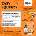 wild-organic-ceylon-cinnamon-tincture-2--3.jpg