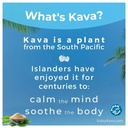 pure-noble-kava-root-powder-1-2-pound-8--5.jpg