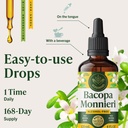 herbamama-bacopa-monnieri-supplement-veg-6.jpg