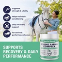 150-day-supply-horse-amino-acid-suppleme-4.jpg
