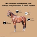 formula-707-weight-gain-crumble-equine-s-3.jpg