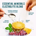 flavcity-fruit-punch-electrolytes-powder-3.jpg