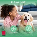 children-s-allergy-medicine-sugar-free-g-4.jpg