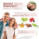 amla-powder-green-tea-superfood-suppleme-4.jpg